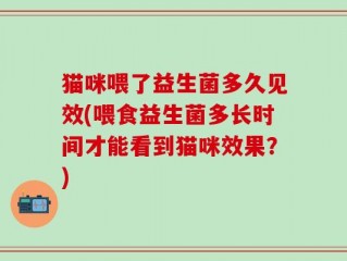 猫咪喂了益生菌多久见效(喂食益生菌多长时间才能看到猫咪效果？)