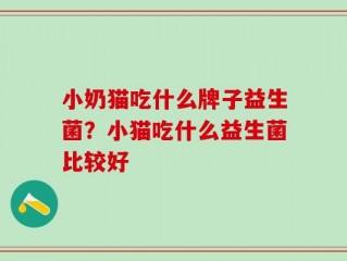 小奶猫吃什么牌子益生菌？小猫吃什么益生菌比较好