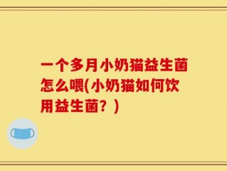 一个多月小奶猫益生菌怎么喂(小奶猫如何饮用益生菌？)