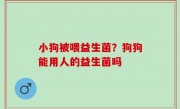 小狗被喂益生菌？狗狗能用人的益生菌吗