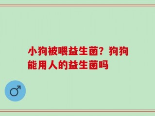 小狗被喂益生菌？狗狗能用人的益生菌吗