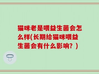 猫咪老是喂益生菌会怎么样(长期给猫咪喂益生菌会有什么影响？)