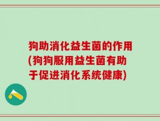 狗助消化益生菌的作用(狗狗服用益生菌有助于促进消化系统健康)