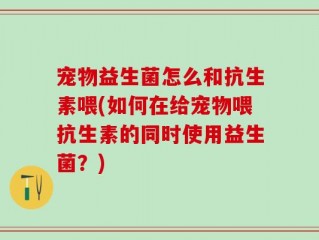 宠物益生菌怎么和抗生素喂(如何在给宠物喂抗生素的同时使用益生菌？)