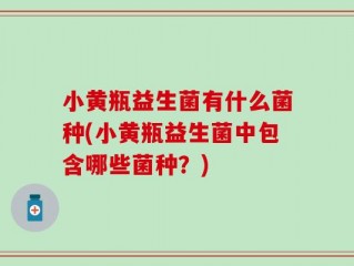 小黄瓶益生菌有什么菌种(小黄瓶益生菌中包含哪些菌种？)