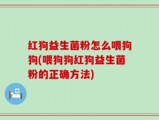 红狗益生菌粉怎么喂狗狗(喂狗狗红狗益生菌粉的正确方法)