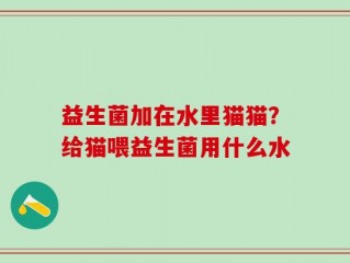益生菌加在水里猫猫？给猫喂益生菌用什么水