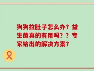 狗狗拉肚子怎么办？益生菌真的有用吗？？专家给出的解决方案？