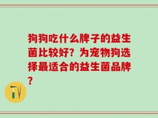 狗狗吃什么牌子的益生菌比较好？为宠物狗选择最适合的益生菌品牌？