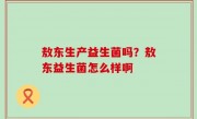 敖东生产益生菌吗？敖东益生菌怎么样啊