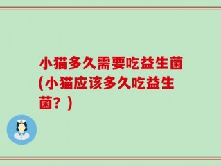 小猫多久需要吃益生菌(小猫应该多久吃益生菌？)