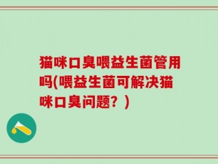 猫咪口臭喂益生菌管用吗(喂益生菌可解决猫咪口臭问题？)