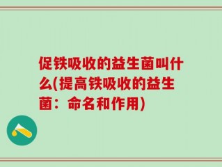 促铁吸收的益生菌叫什么(提高铁吸收的益生菌：命名和作用)