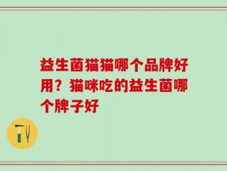 益生菌猫猫哪个品牌好用？猫咪吃的益生菌哪个牌子好