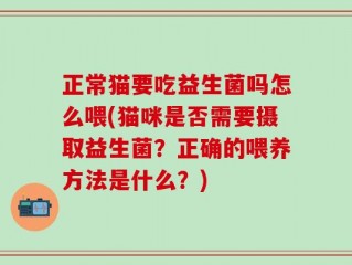 正常猫要吃益生菌吗怎么喂(猫咪是否需要摄取益生菌？正确的喂养方法是什么？)