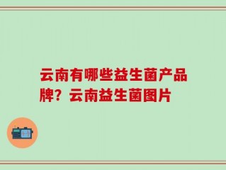 云南有哪些益生菌产品牌？云南益生菌图片