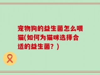 宠物狗的益生菌怎么喂猫(如何为猫咪选择合适的益生菌？)