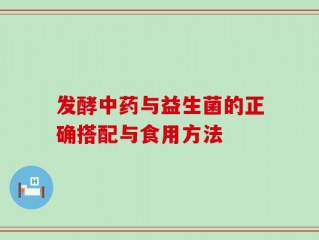发酵中药与益生菌的正确搭配与食用方法