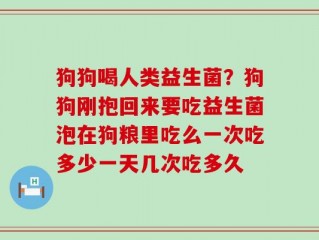 狗狗喝人类益生菌？狗狗刚抱回来要吃益生菌泡在狗粮里吃么一次吃多少一天几次吃多久