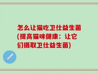 怎么让猫吃卫仕益生菌(提高猫咪健康：让它们摄取卫仕益生菌)