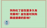 狗狗吃了益生菌多久有效果呀？益生菌对狗狗肠道健康的影响？