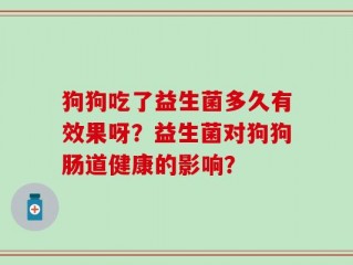 狗狗吃了益生菌多久有效果呀？益生菌对狗狗肠道健康的影响？