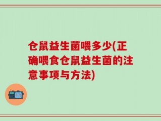 仓鼠益生菌喂多少(正确喂食仓鼠益生菌的注意事项与方法)