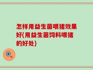 怎样用益生菌喂猪效果好(用益生菌饲料喂猪的好处)