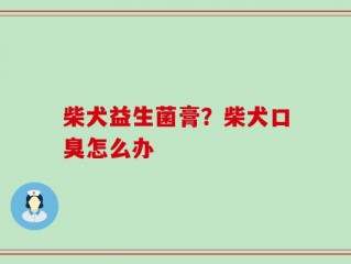 柴犬益生菌膏？柴犬口臭怎么办