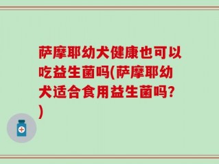 萨摩耶幼犬健康也可以吃益生菌吗(萨摩耶幼犬适合食用益生菌吗？)