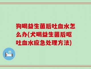 狗喝益生菌后吐血水怎么办(犬喝益生菌后呕吐血水应急处理方法)