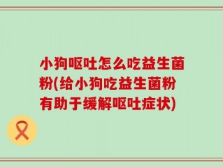 小狗呕吐怎么吃益生菌粉(给小狗吃益生菌粉有助于缓解呕吐症状)