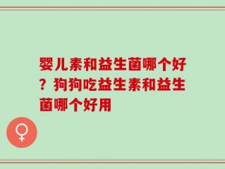 婴儿素和益生菌哪个好？狗狗吃益生素和益生菌哪个好用