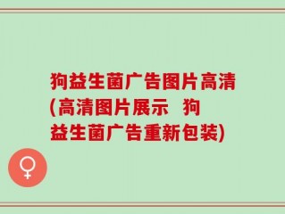 狗益生菌广告图片高清(高清图片展示  狗益生菌广告重新包装)