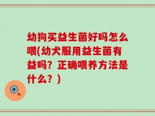 幼狗买益生菌好吗怎么喂(幼犬服用益生菌有益吗？正确喂养方法是什么？)