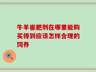 牛羊崔肥剂在哪里能购买得到应该怎样合理的饲养