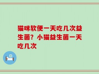 猫咪软便一天吃几次益生菌？小猫益生菌一天吃几次