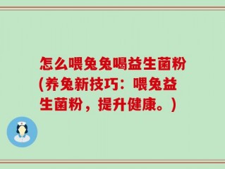 怎么喂兔兔喝益生菌粉(养兔新技巧：喂兔益生菌粉，提升健康。)
