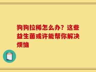 狗狗拉稀怎么办？这些益生菌或许能帮你解决烦恼