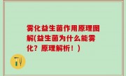 雾化益生菌作用原理图解(益生菌为什么能雾化？原理解析！)