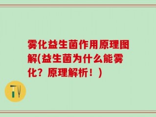 雾化益生菌作用原理图解(益生菌为什么能雾化？原理解析！)