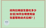 幼狗拉稀益生菌吃多少合适(如何合理使用益生菌帮助幼犬拉稀？)