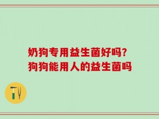奶狗专用益生菌好吗？狗狗能用人的益生菌吗
