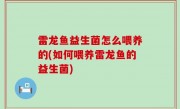 雷龙鱼益生菌怎么喂养的(如何喂养雷龙鱼的益生菌)