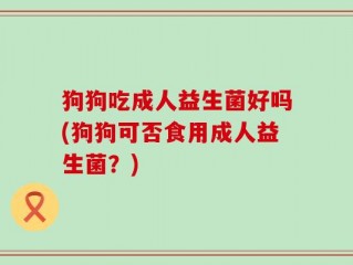 狗狗吃成人益生菌好吗(狗狗可否食用成人益生菌？)