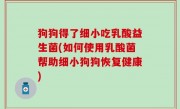 狗狗得了细小吃乳酸益生菌(如何使用乳酸菌帮助细小狗狗恢复健康)