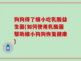 狗狗得了细小吃乳酸益生菌(如何使用乳酸菌帮助细小狗狗恢复健康)