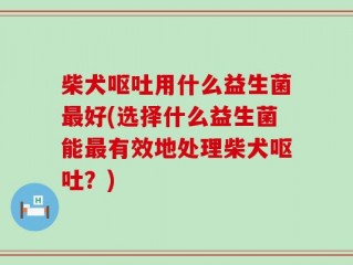 柴犬呕吐用什么益生菌最好(选择什么益生菌能最有效地处理柴犬呕吐？)