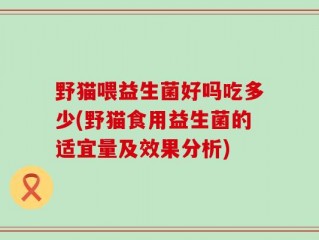 野猫喂益生菌好吗吃多少(野猫食用益生菌的适宜量及效果分析)