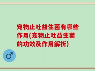 宠物止吐益生菌有哪些作用(宠物止吐益生菌的功效及作用解析)